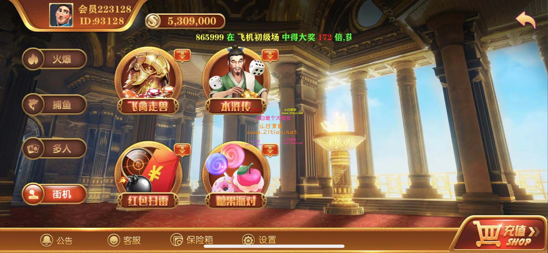 逍遥 街机电子大厅