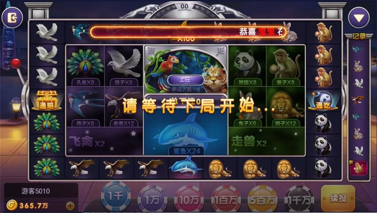 Bingo 飞禽走兽押注玩法