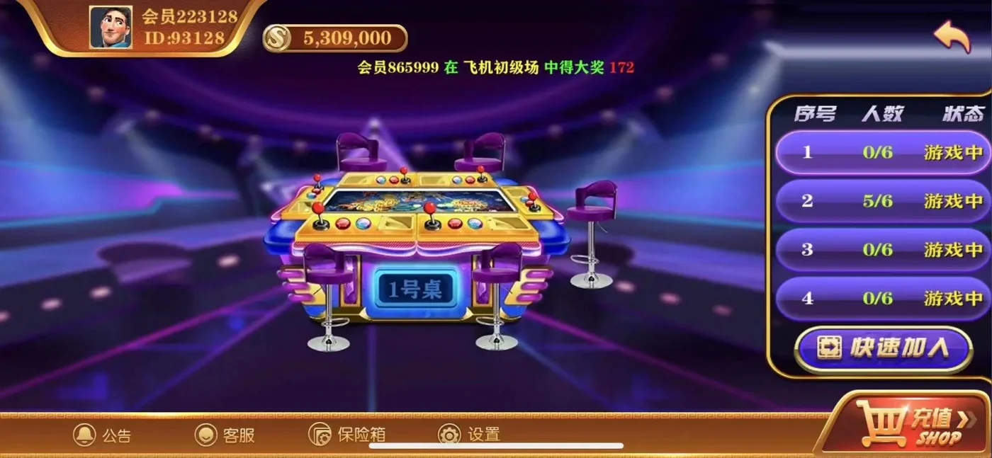 大玩家 飞机大战选桌大厅